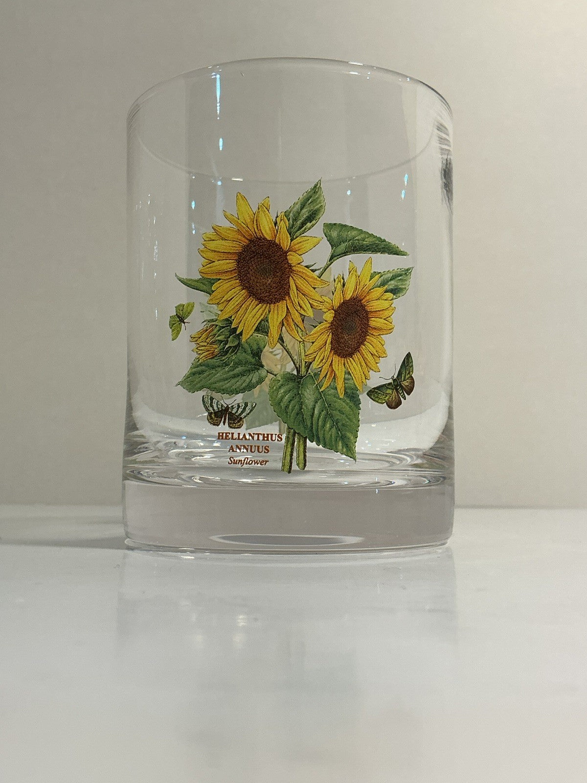 Portmeirion Botanic Garden 16oz Double Old Fashion Glasses Set Of 3