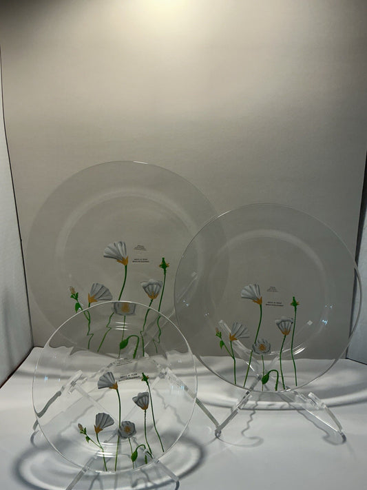 Hand Painted Clear Plate Dinner Glass