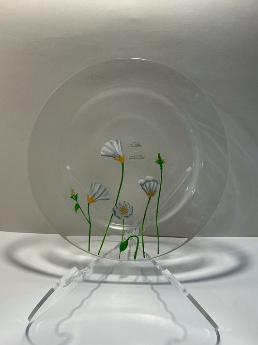 Hand Painted Clear Plate X-large Dinner Or Charger