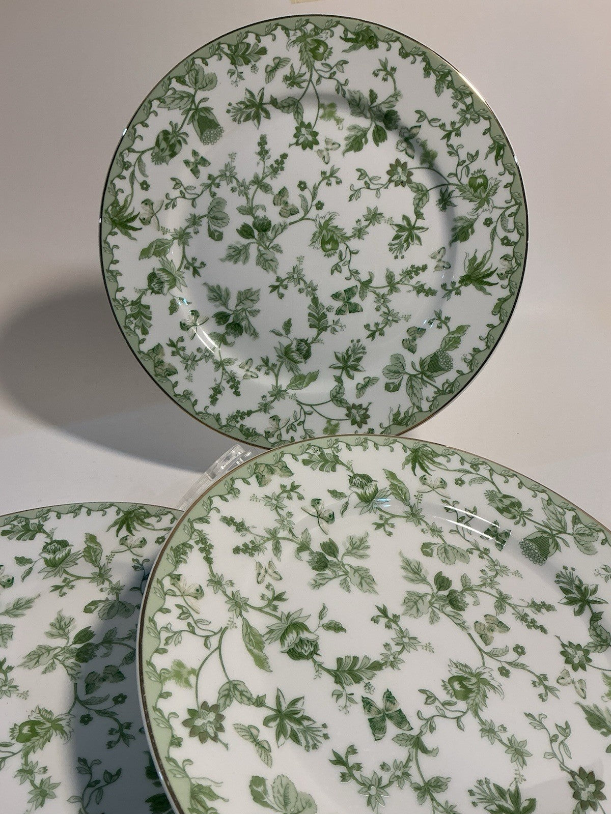 Monterey Bay  Green Garden Floral and vine design Salad Plate Set Of 3