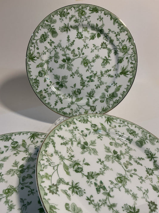 Monterey Bay  Green Garden Floral and vine design Salad Plate Set Of 3