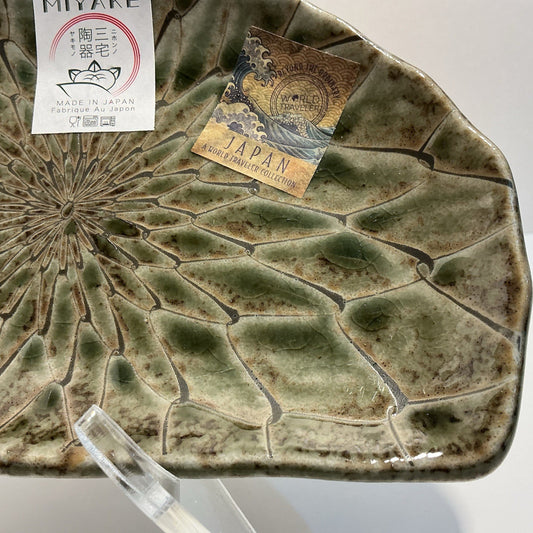D Shaped 8.3” Moss Net Design Made In Japan Green Tempura Plate Made Of Minoyaki