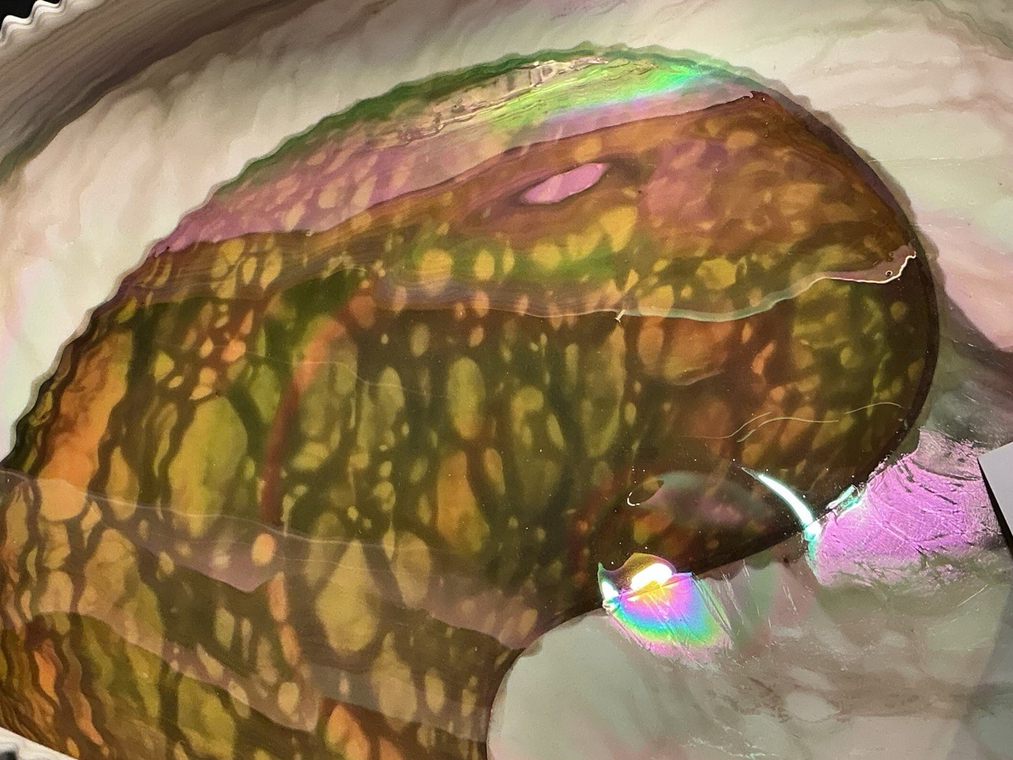 Yalos Murano 16" Iridescent Glass Abalone Mother of Pearl Folded Bowl