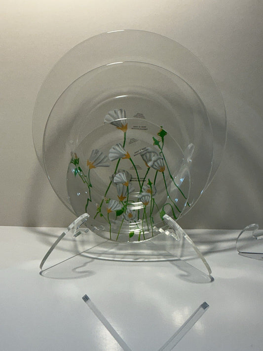 Hand Painted Clear Salad Plate