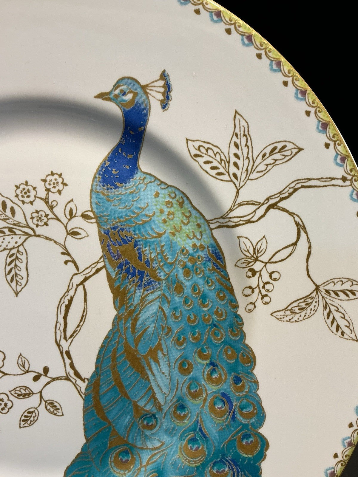 222 Fifth Peacock Garden Porcelain Salad Plate 8  Inches