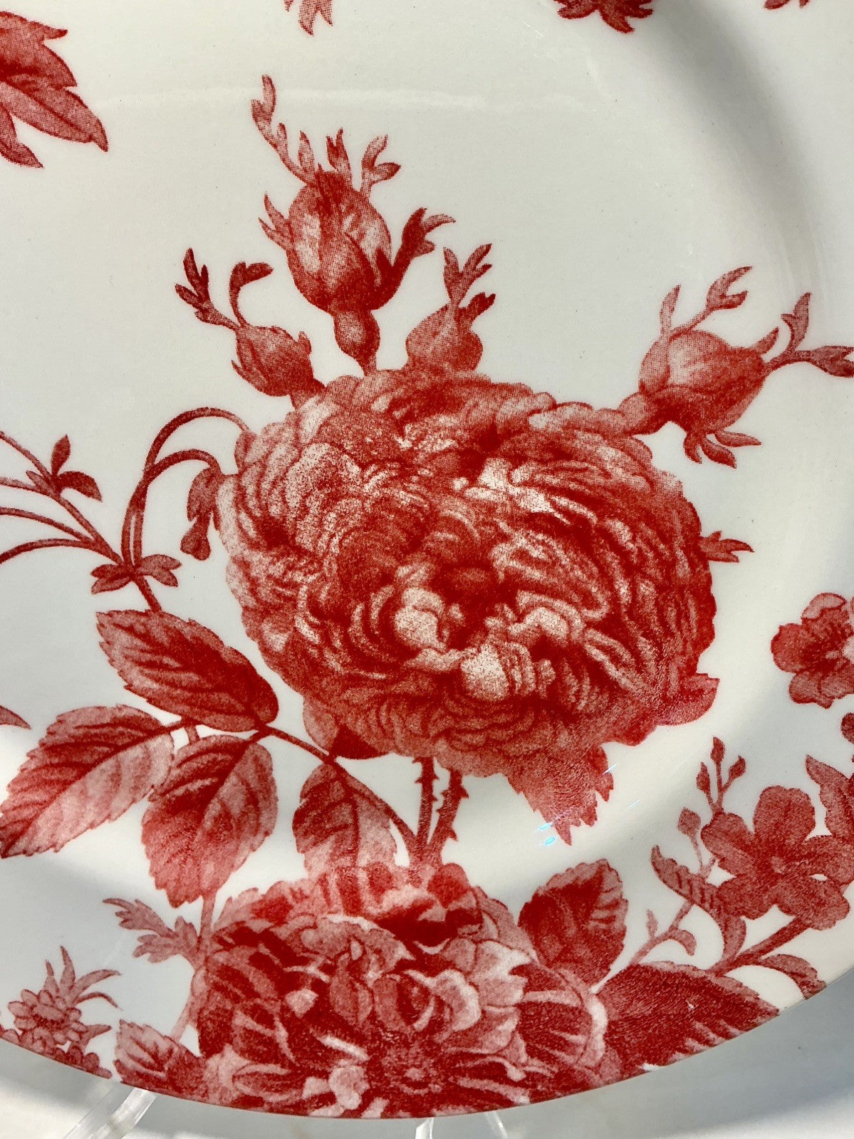 Royal Stafford Coral Floral Weave Dinner Plate made in England   10.5”