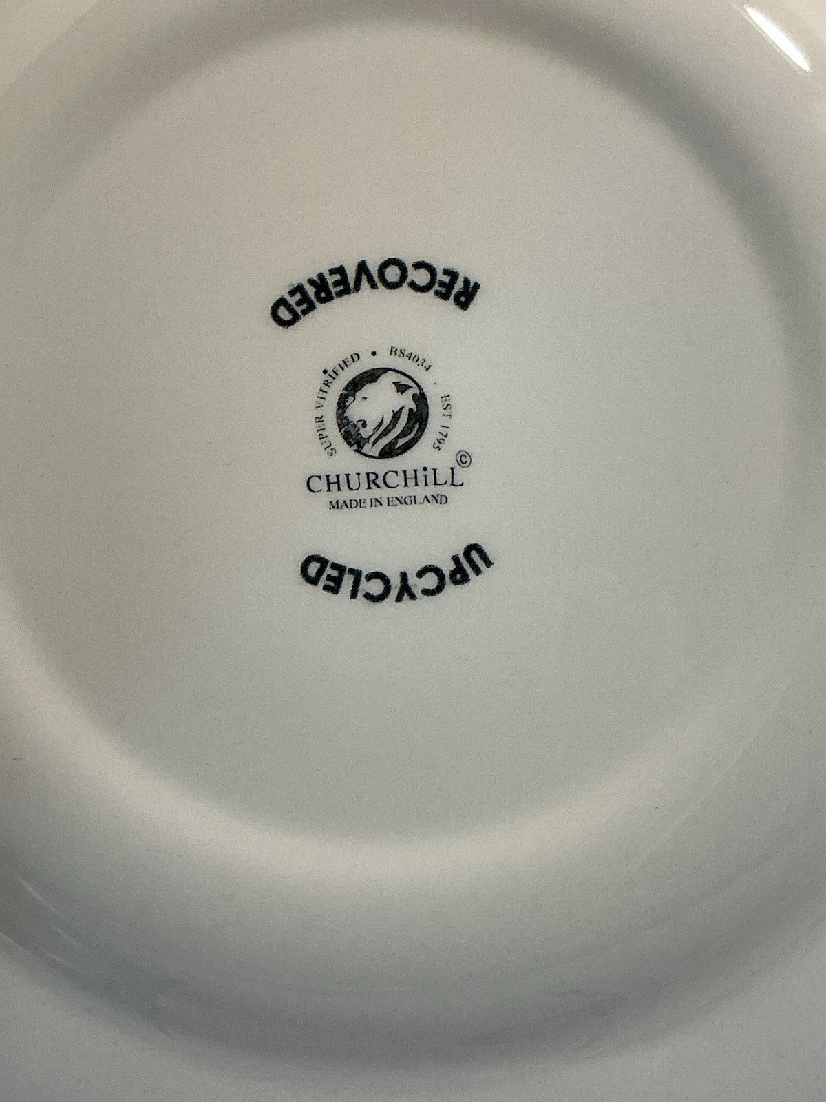 Queen’s Royal Wessex Churchill Toile de Jardin Dinner Plate 10.25”