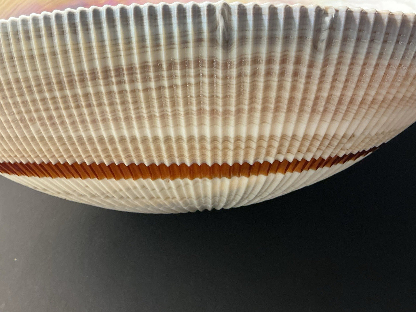 Yalos Murano 16" Iridescent Glass Abalone Mother of Pearl Folded Bowl