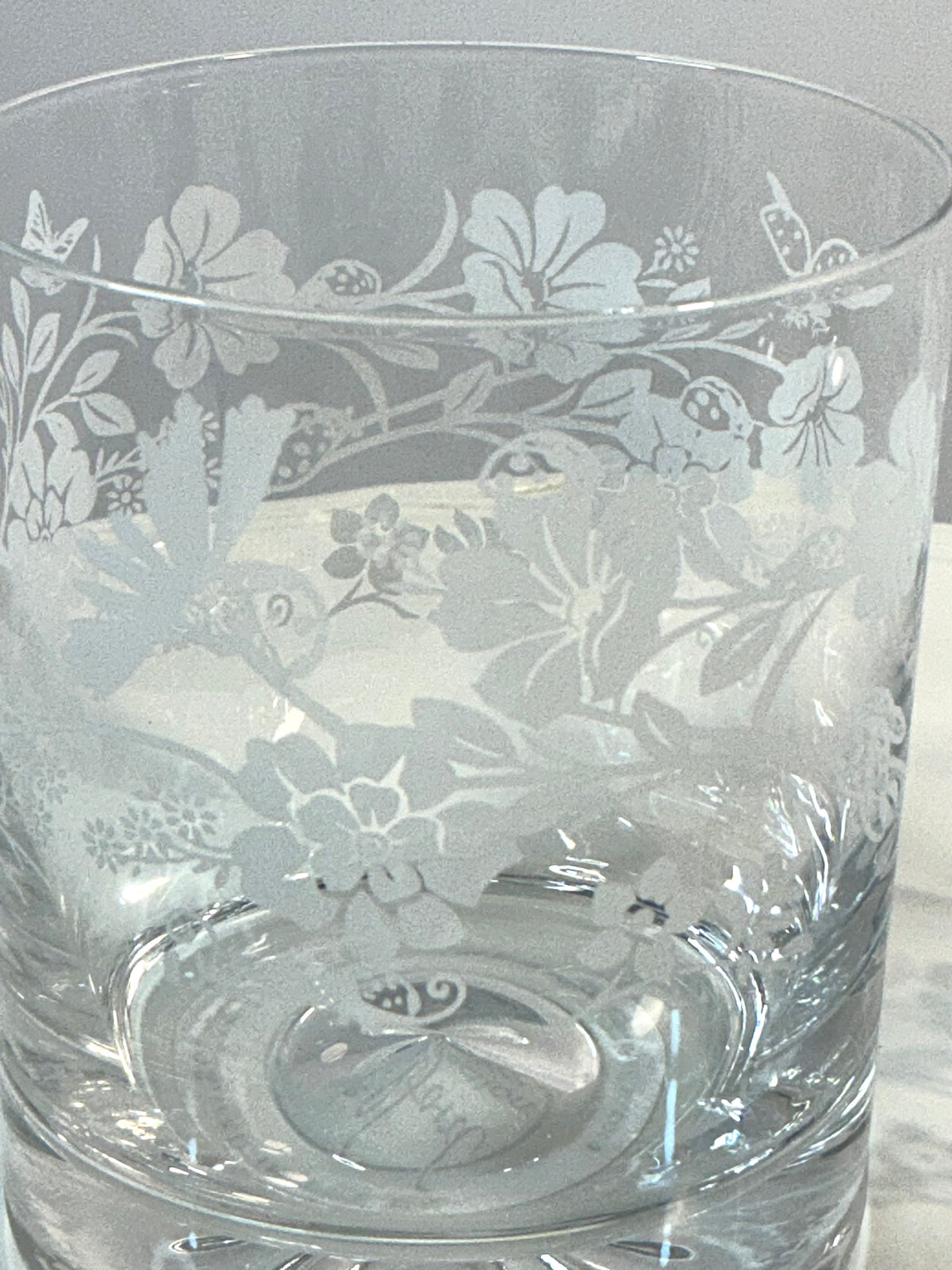 Milford Collection LADYBIRD Set of 2 Whisky Tumbler Elegance Made in England