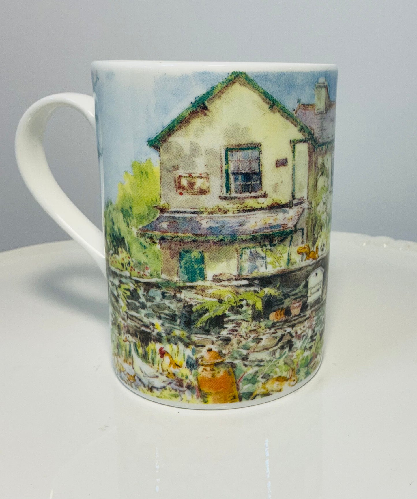 National Trust Exclusive China Set of 4 Different Themed Fine Bone China Mugs, Made in England