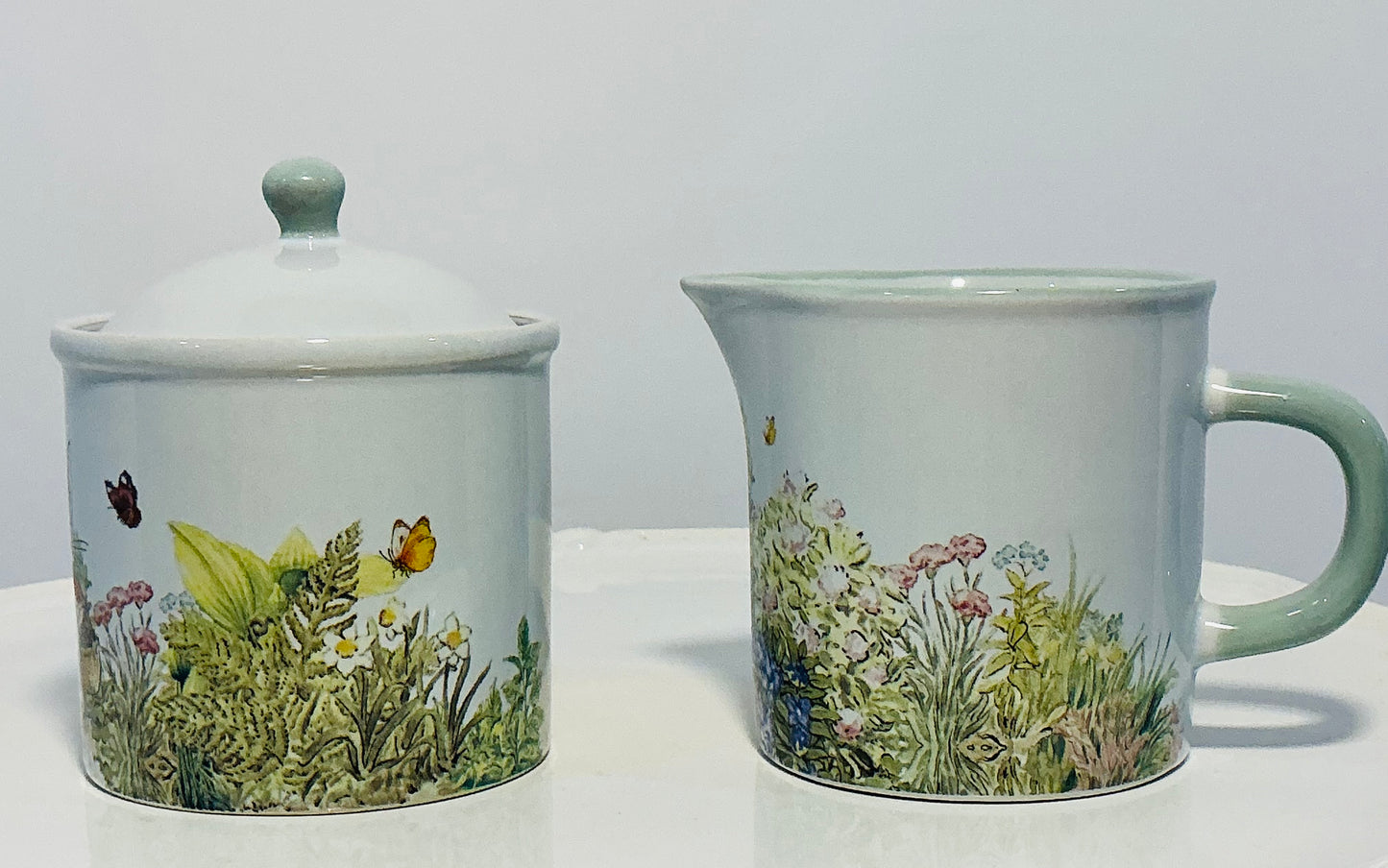 Beatrix Potter Peter Rabbit Set of Creamer and Sugar Bowl perfect for Easter and Spring