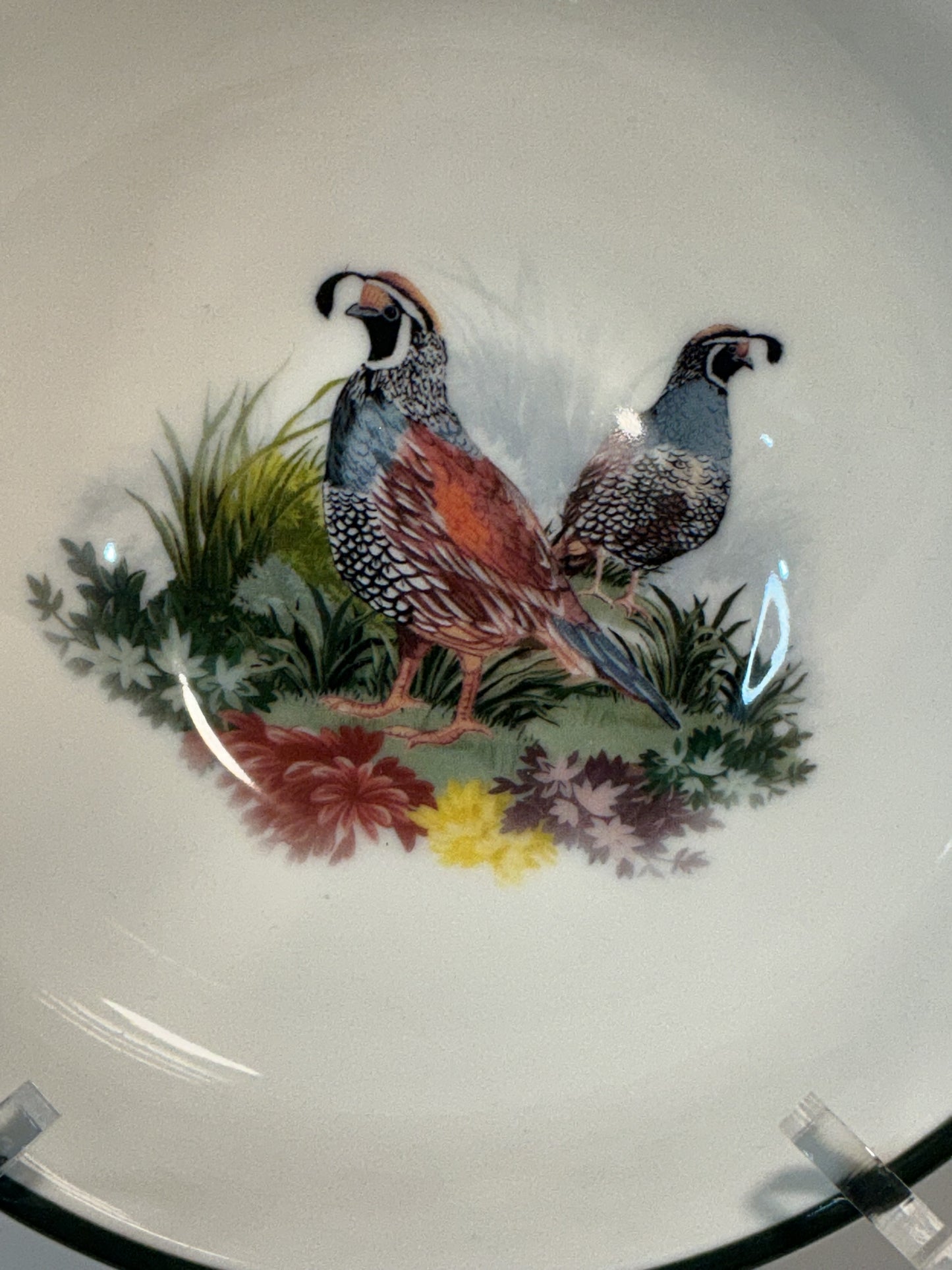 Pottery Barn Fantastical Forest Stoneware Bowl with a hand-painted white glaze decal finish