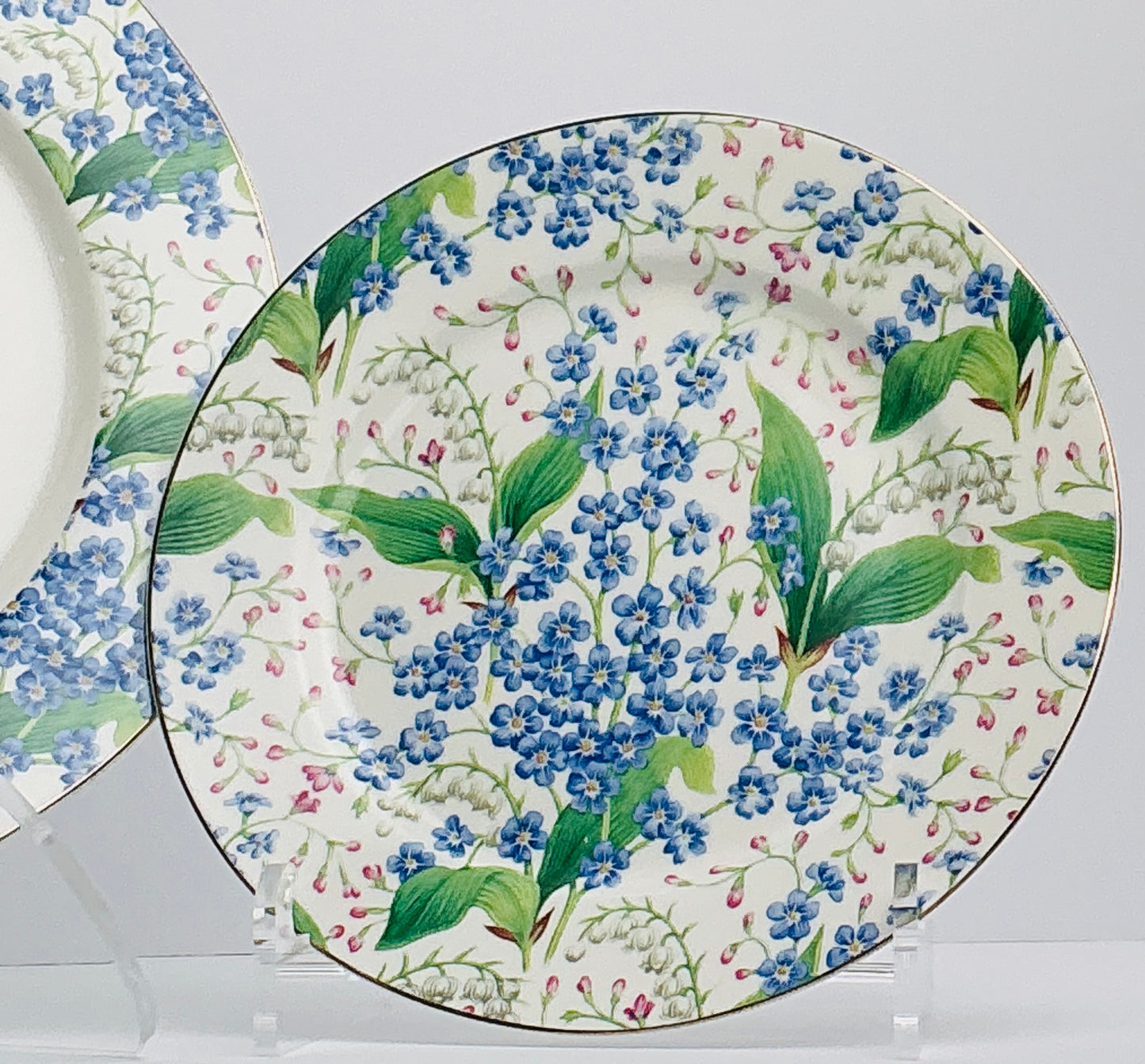Grace’s Teaware Ceramic Plate Set / Dinner & Salad Plates / Blue Floral OR Green Design
