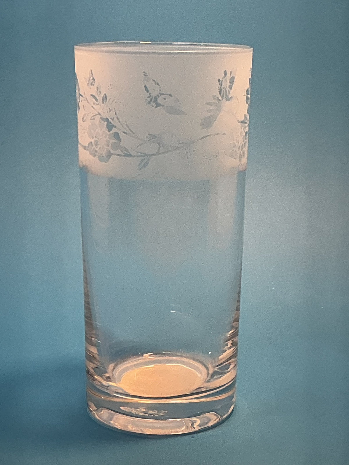 Milford Collection Scottish Thistle Tumbler Animo  Glass Etched 6” one piece Made in France