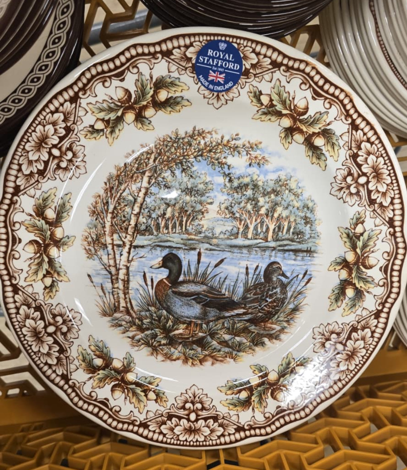 Royal Stafford Homeland Ducks Dinner Plate 11" - Discontinued Victorian English Pottery