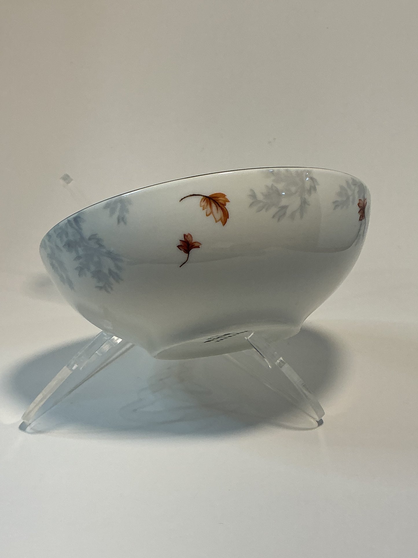 Pottery Barn Fantastical Forest Stoneware Bowl with a hand-painted white glaze decal finish