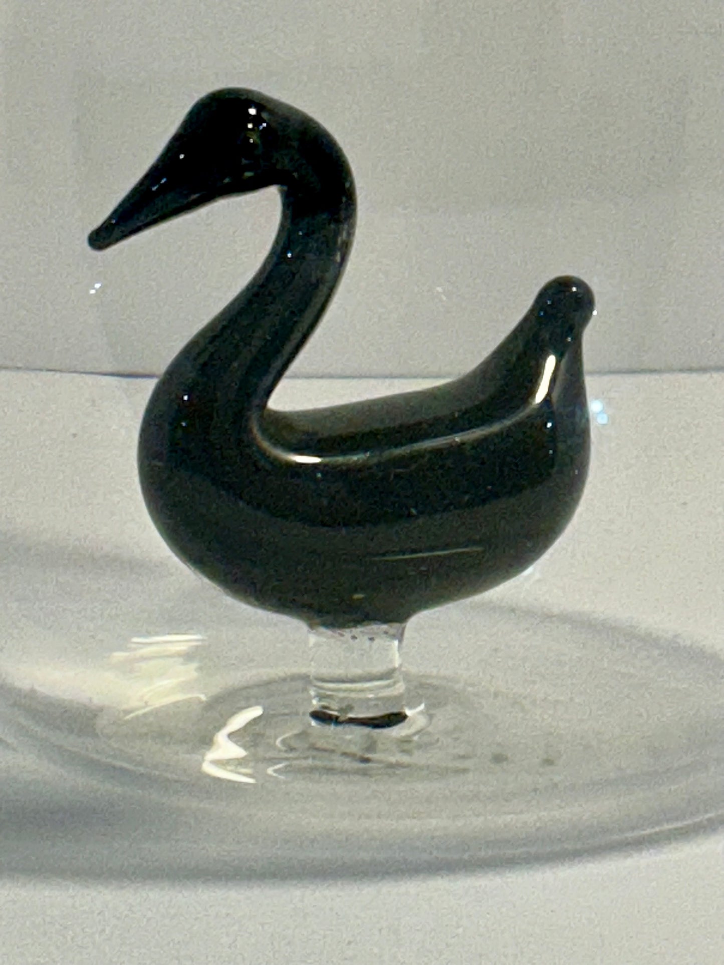 The Ardon Collection Black Duck Stemless Wine Glass 9 oz