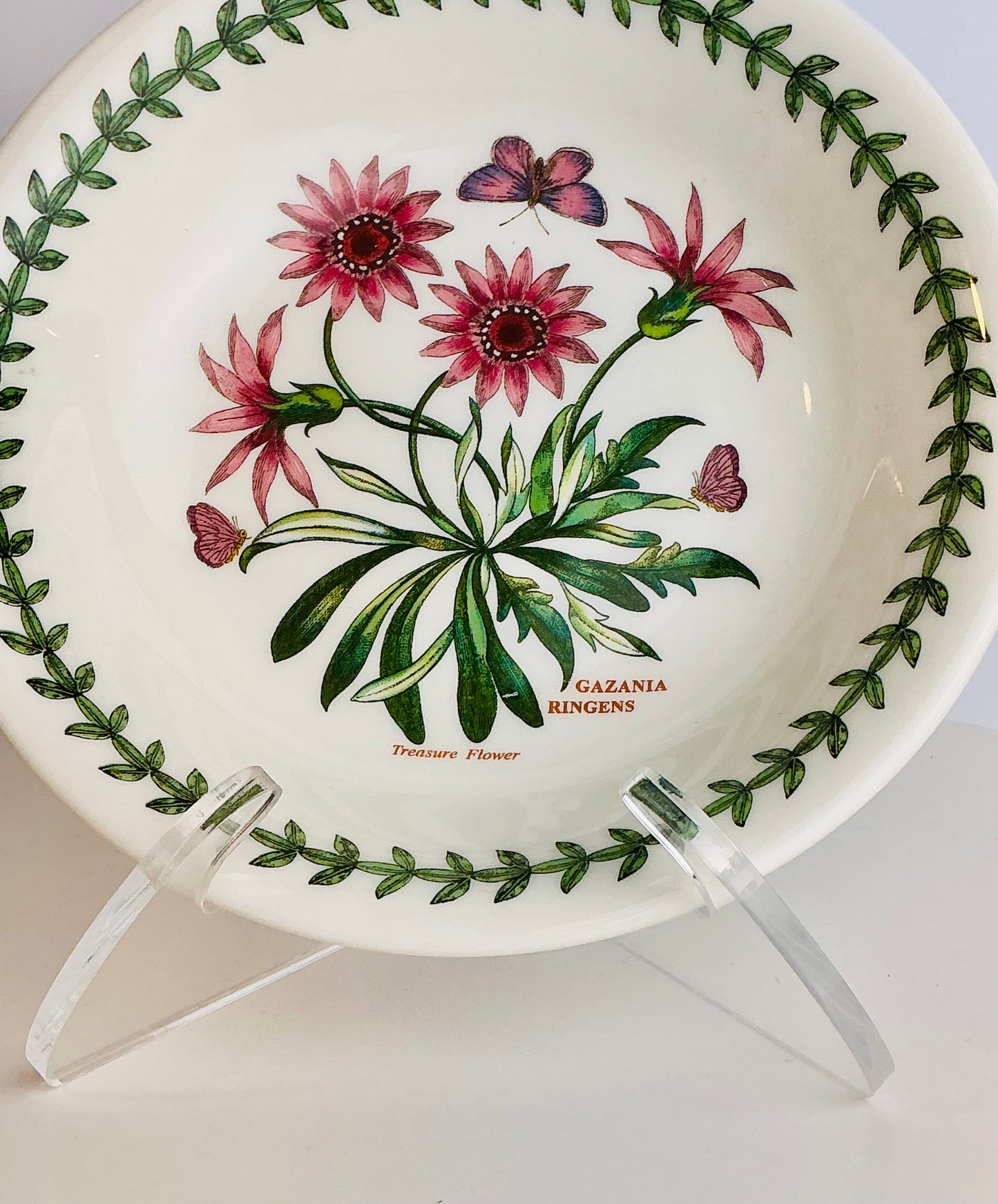 Portmeirion Botanic Garden – Collectible Bowls & Dinner Plates | Choose Your Style
