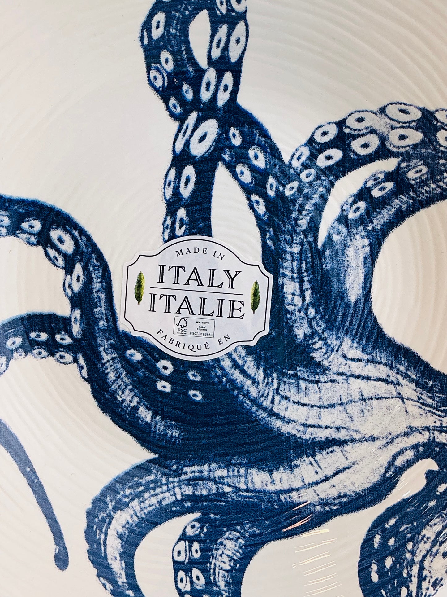 Ceramiche Italia Octopus Dinner Plate & Pasta Bowl – Blue White Italian Handcrafted Coastal