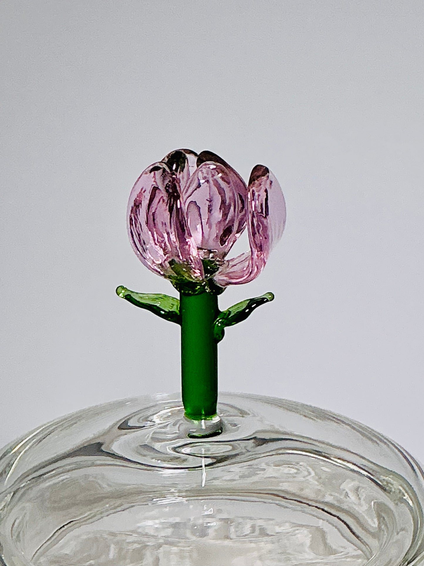 Glass Teapot with Decorative Knob Lid & Built-In Infuser – Lemon, Blue Bird, Tulip or Bee