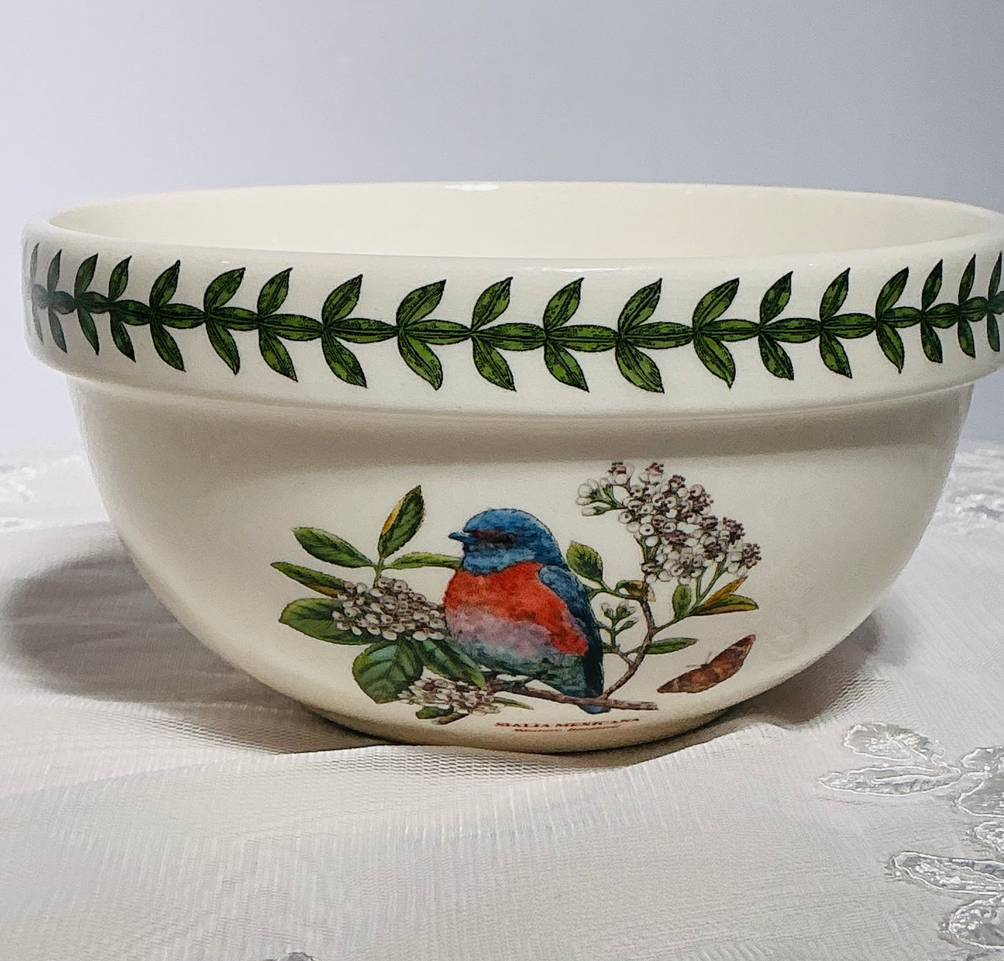 Portmeirion Botanic Garden – Collectible Bowls & Dinner Plates | Choose Your Style