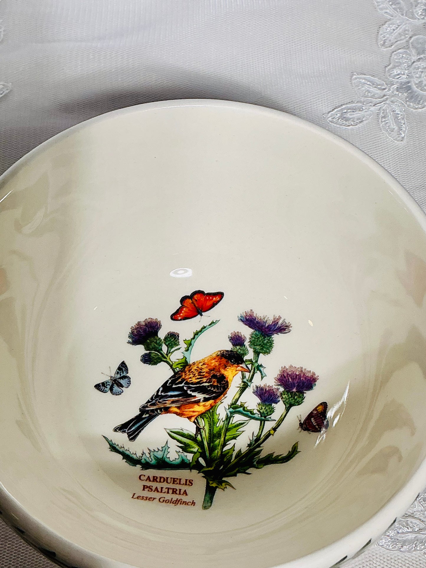 Portmeirion Botanic Garden – Collectible Bowls & Dinner Plates | Choose Your Style