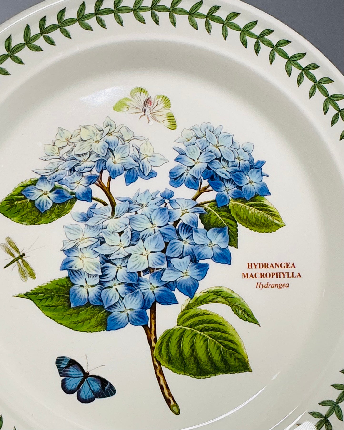 Portmeirion Botanic Garden – Collectible Bowls & Dinner Plates | Choose Your Style