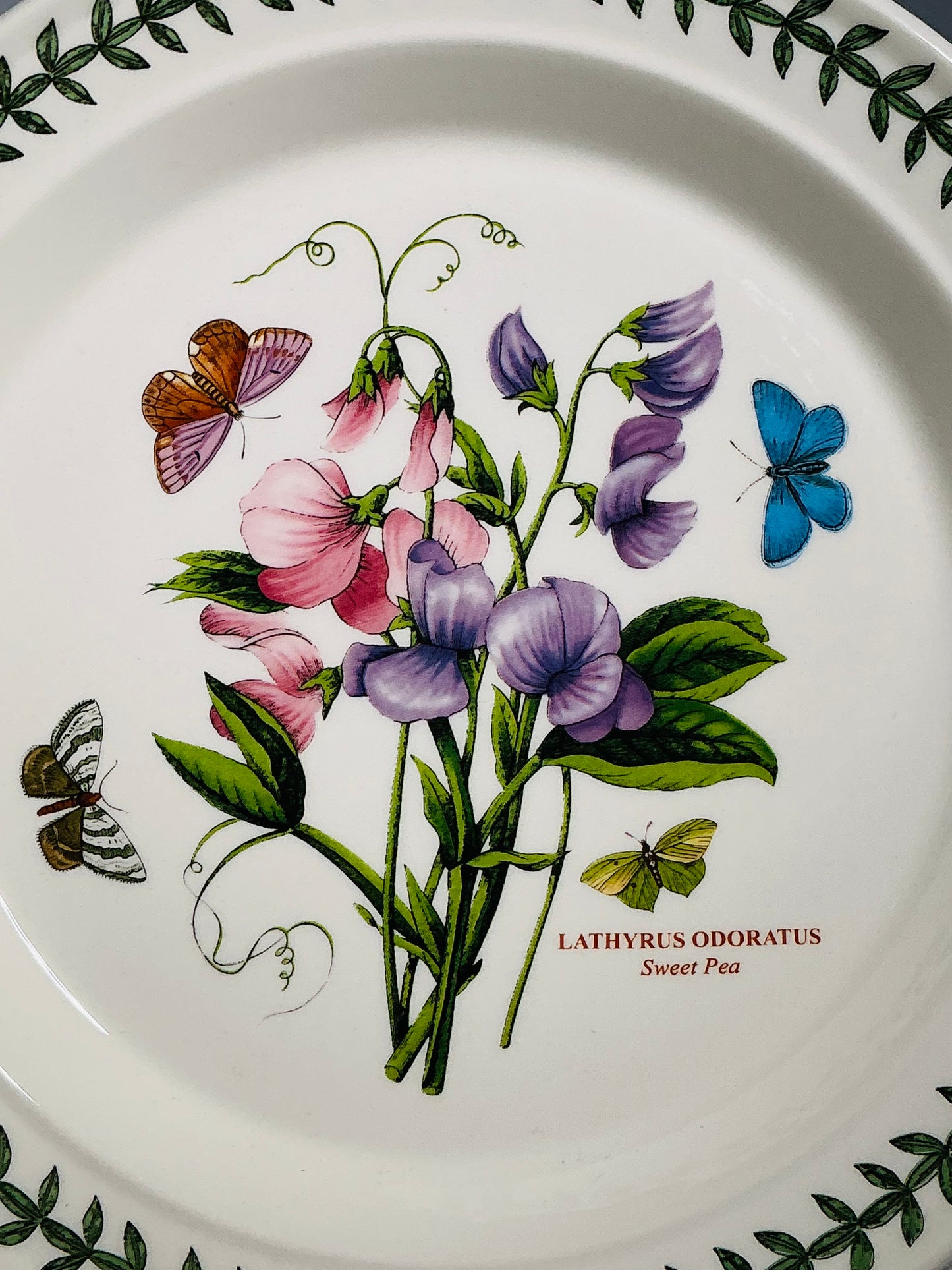 Portmeirion Botanic Garden – Collectible Bowls & Dinner Plates | Choose Your Style