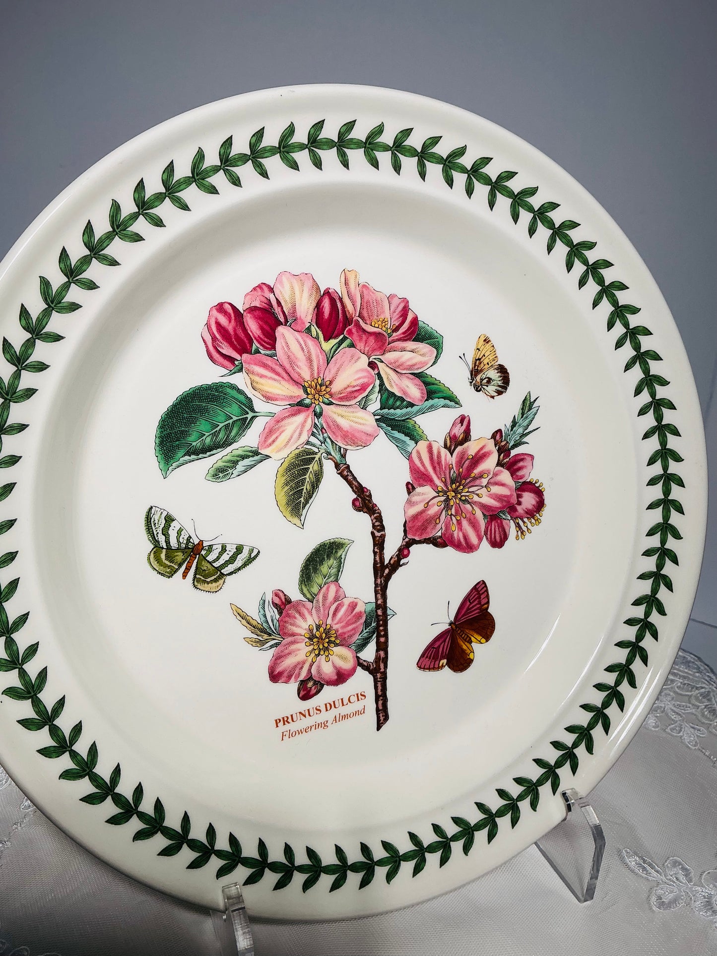 Portmeirion Botanic Garden – Collectible Bowls & Dinner Plates | Choose Your Style