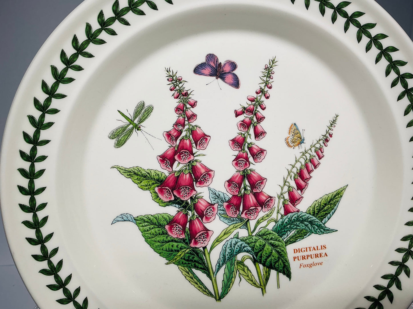 Portmeirion Botanic Garden – Collectible Bowls & Dinner Plates | Choose Your Style