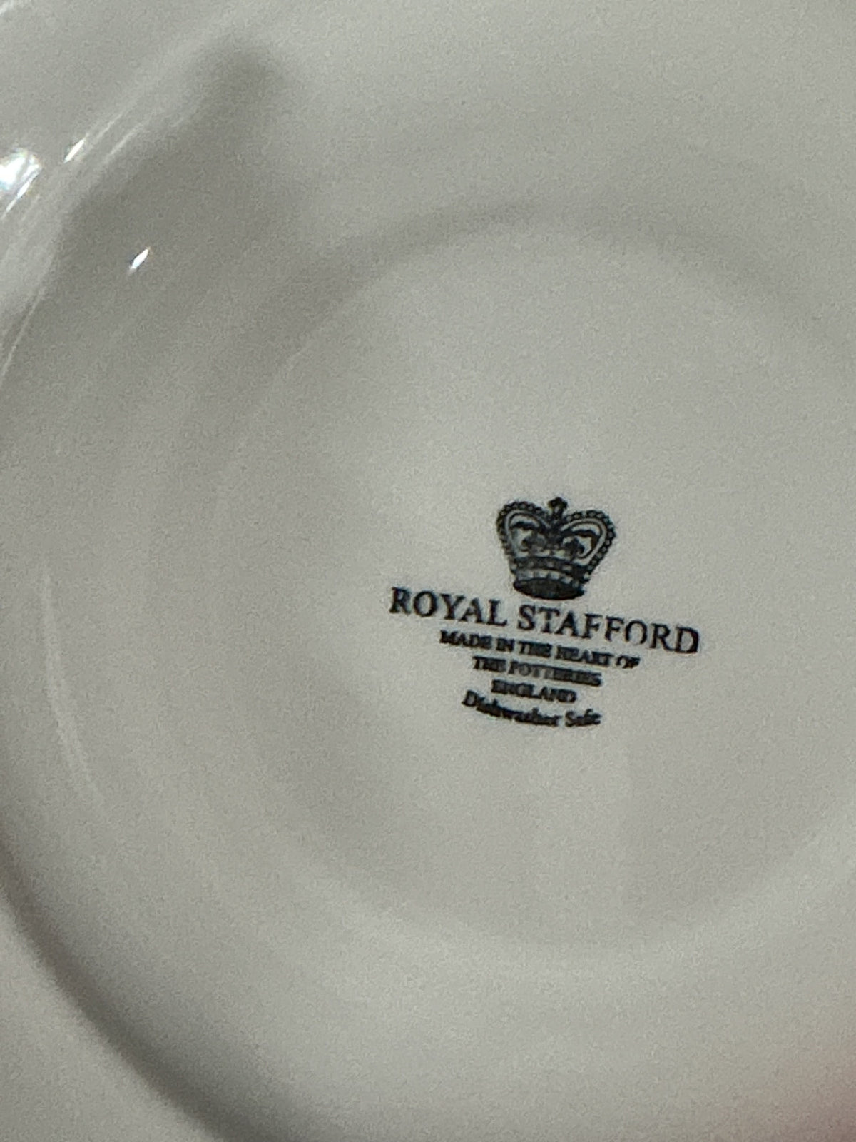 Royal Stafford Halloween Raven Moon Salad Plate 8.5"